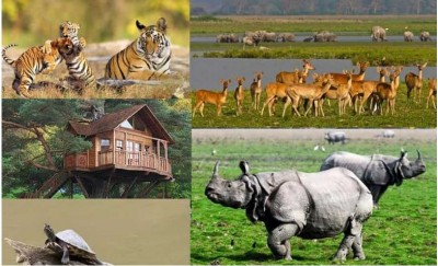 World heritage site Kaziranga National Park is all set to welcome President Murmu