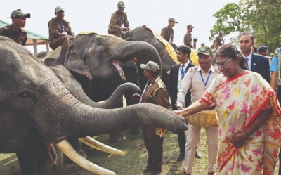 Elephant corridors to be kept free from obstructions: Prez Murmu