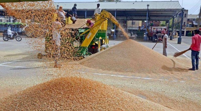 Punjab to start procuring wheat Amid “Arhtiyas’ strike call