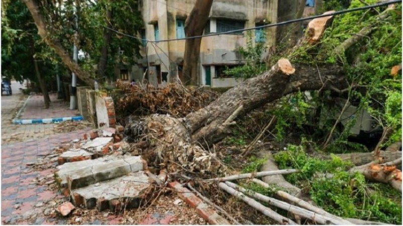 Tree falls on tin shed in Akola temple, 7 killed, 23 injured