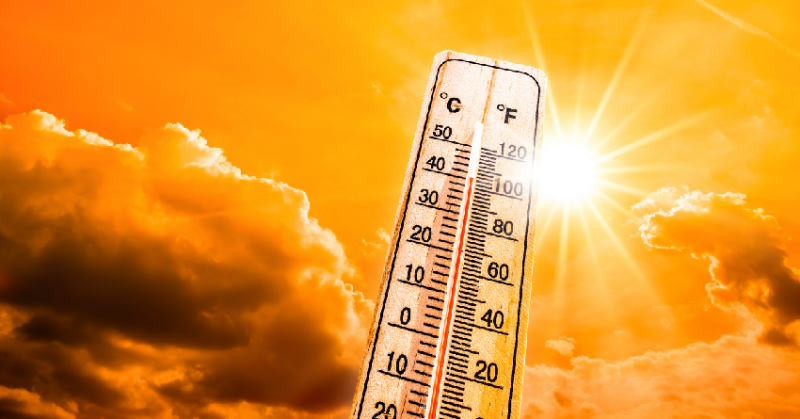 These States Issue Heatwave Warning: Maharashtra, Telangana, and West Bengal on Alert