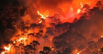 Fires Destroy Over 53 Hectares of Forest in Uttarakhand