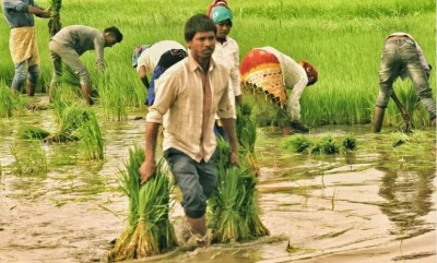Unseasonal rains damage crops in Telangana