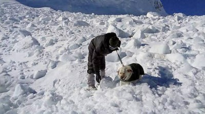 सियाचिन में हिमस्खलन में दो सैन्यकर्मियों ने गँवाई अपनी जान