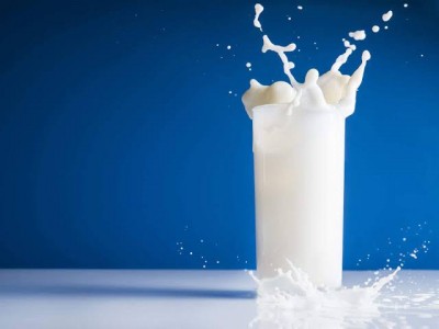 Madhya Pradesh: Free home delivery of dairy products in Indore