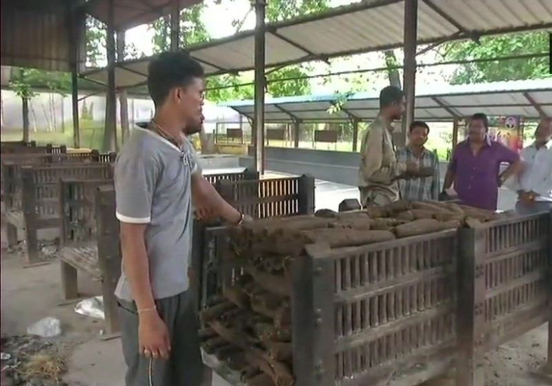 Raipur, Chhattisgarh introduces 'eco-friendly' wood logs for funerals