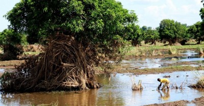 New Research Highlights Climate Change's Role in Spreading Cholera