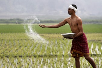 Farming activities gear up in Telangana amidst pandemic