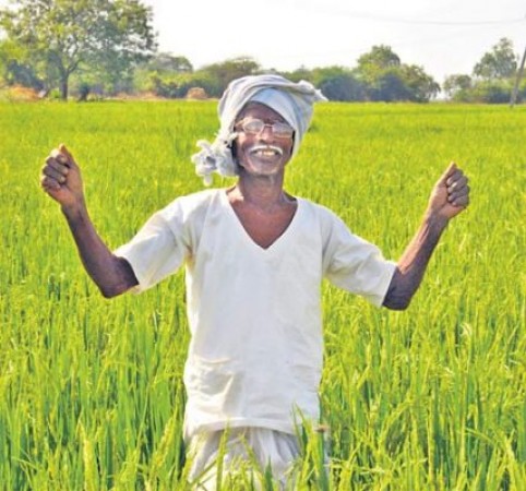 Farmers cheer up in Telangana as the sky gets clear