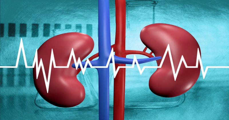 Successful Renal transplant: Chennai man has 5 kidneys, including damaged ones