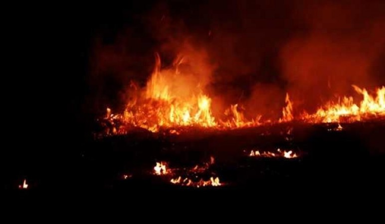 Fire broke out in the shooting of cinema in Filmnagar and chemical factory in Yadadri.