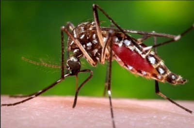 Another Zika reported in Kanpur, bringing the total number of cases to 11