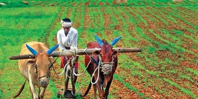 Agriculture budget will be presented for the first time in Tamil Nadu as the third state in India
