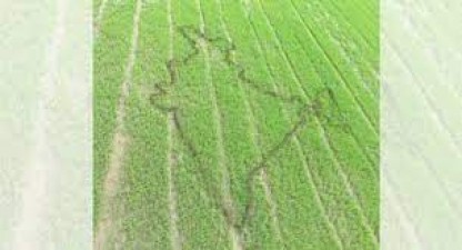 Unique way to express patriotism, Telangana farmer made India's map in his field