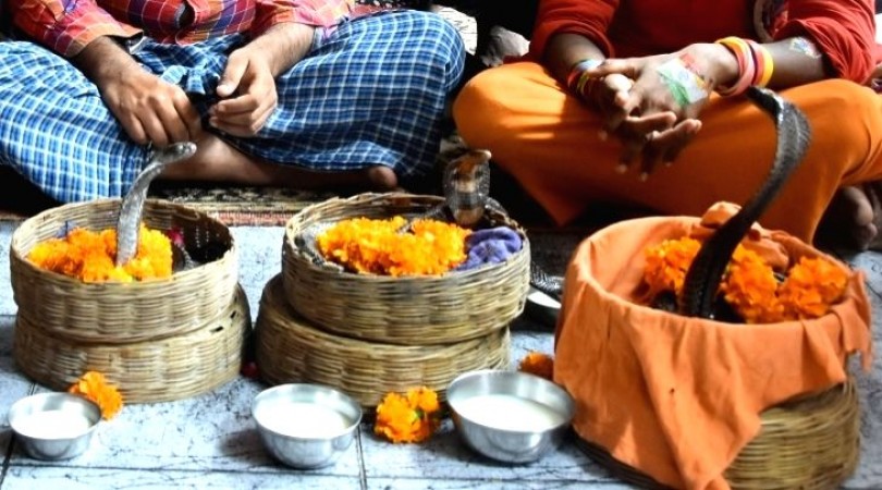 With fervor and joy, Karnataka celebrates Naga Panchami