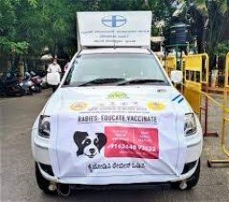 Bengaluru gets helpline to handle rabies infection