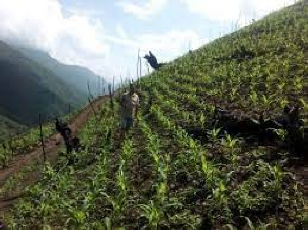 Nagaland government wants to focus on agriculture to eradicate poverty