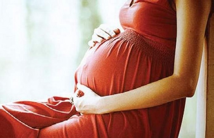Pregnant women in rural areas of Nainital  To Get Palanquin Service To Hospital