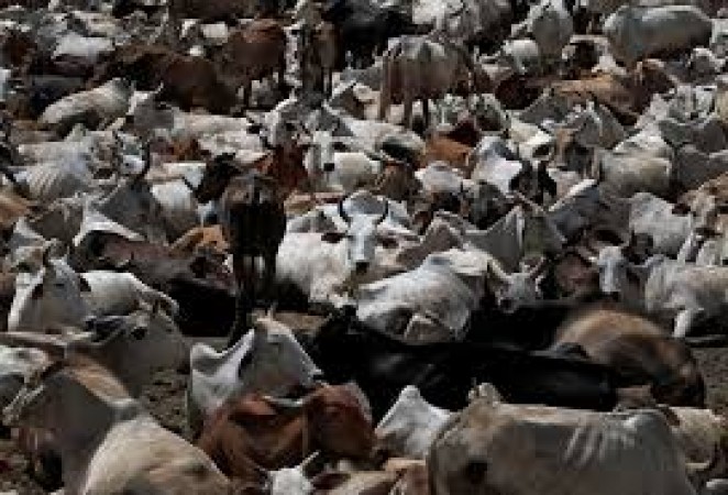 Resolution passed to enact laws against Love Jihad, Cow slaughter, Karnataka
