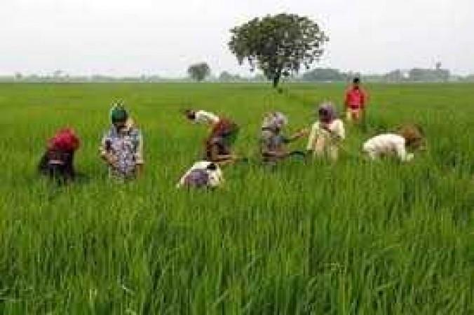 उत्तराखंड के किसानों ने नए बनाए गए कृषि कानूनों को  दिया अपना समर्थन
