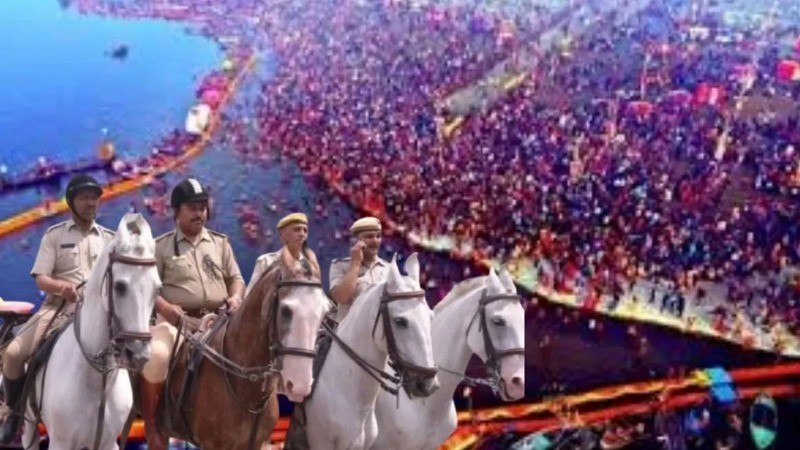 Maha Kumbh 2025: UP Police Introduces Foreign and Indian Breed Horses for Crowd Management