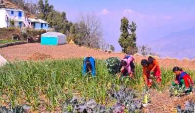 Uttarakhand's Aroma Valleys Set to Empower 37,000 Farmers, Generate Jobs