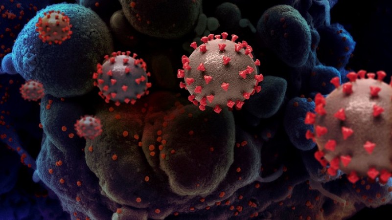 UK New-coronavirus strain may be present in many nations: WHO Scientist