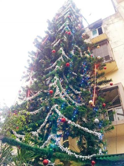 Mumbai family grows tallest Christmas tree in India
