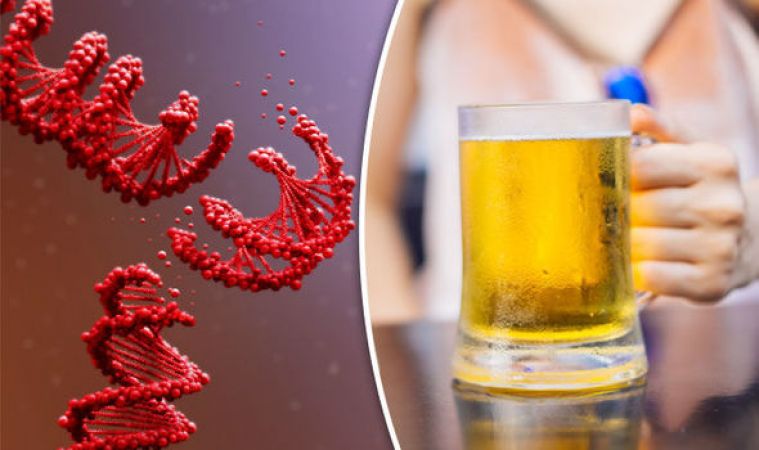 Study claims that Heavy drinking can change your DNA