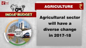 Union Budget 2017: Agricultural sector will have a diverse change in 2017-18