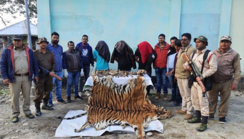 Three held with Royal Bengal tiger skin in Banderdewa