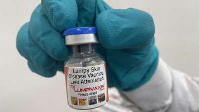 Biovet's New Vaccine to Combat Lumpy Skin Disease in Cattle