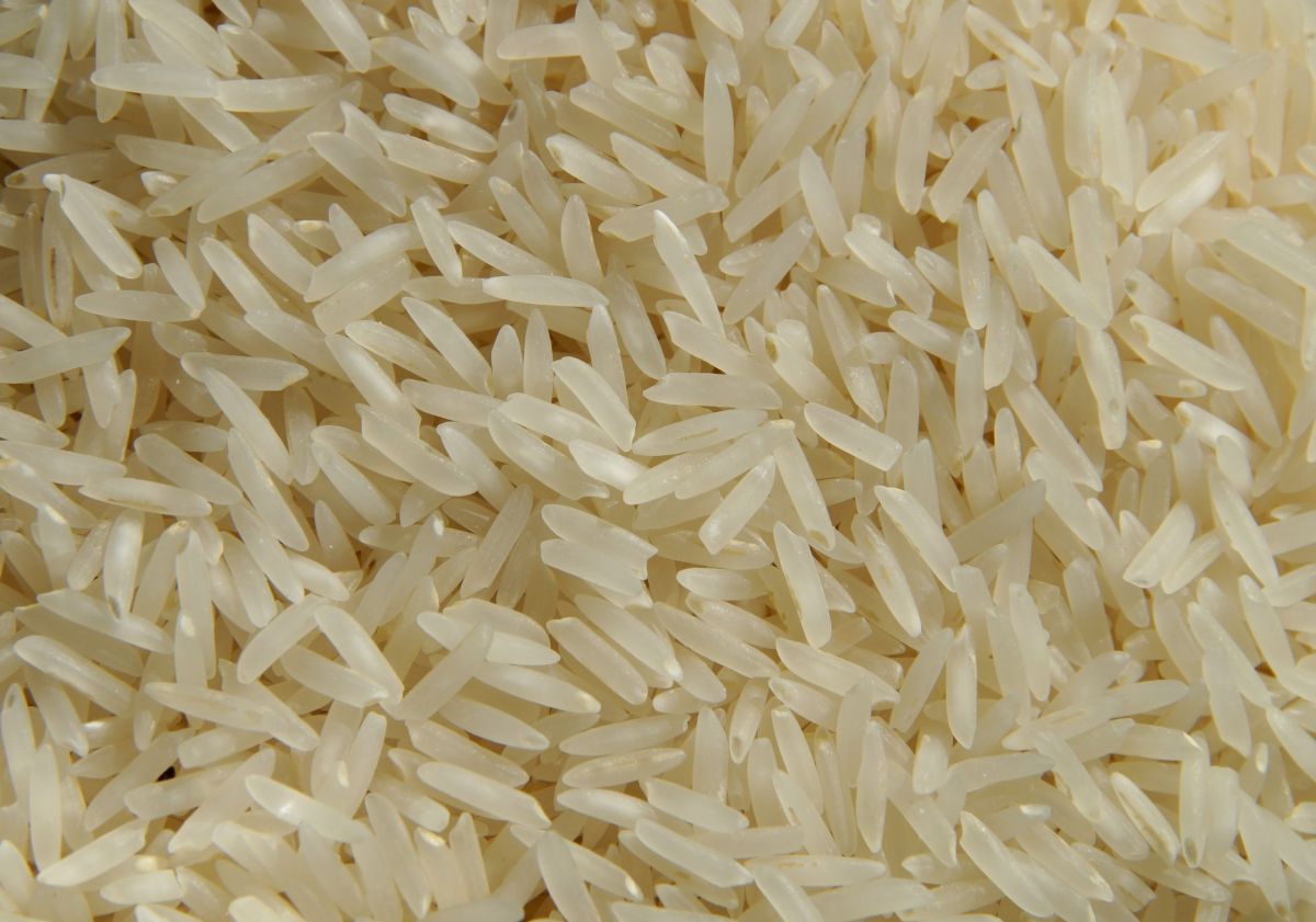 विशेष जांच प्रकोष्ठ ने पीडीएस चावल घोटाले की जांच की मांग की