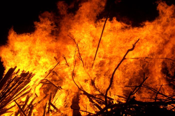 Fire broke out in the forest at New Delhi