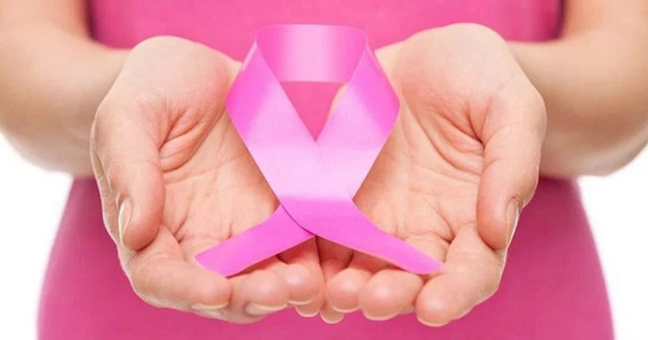 आईआईटी मद्रास: कैंसर रोधी दवा कैंप्टोक्टासिन के लिए वैकल्पिक स्रोत पर किया गया शोध