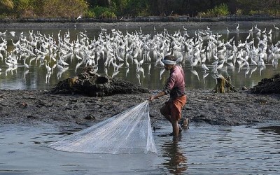 Deep-sea Fishing deal strike mars coastal belt in Kerala