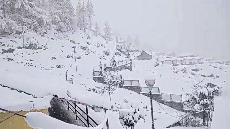 Deep Avalanche in Uttarakhand: 41 Workers Still Trapped, 16 Rescued