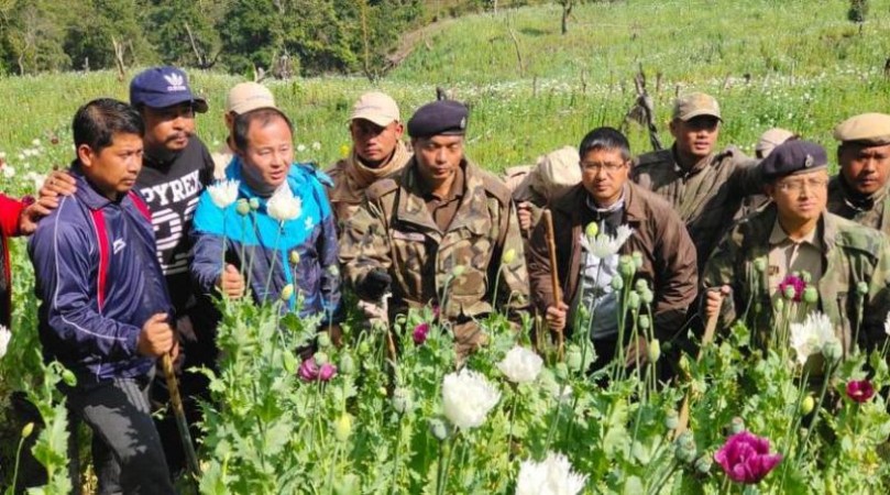 मणिपुर पुलिस ने  8 एकड़ में अफीम की फसल तबाह की