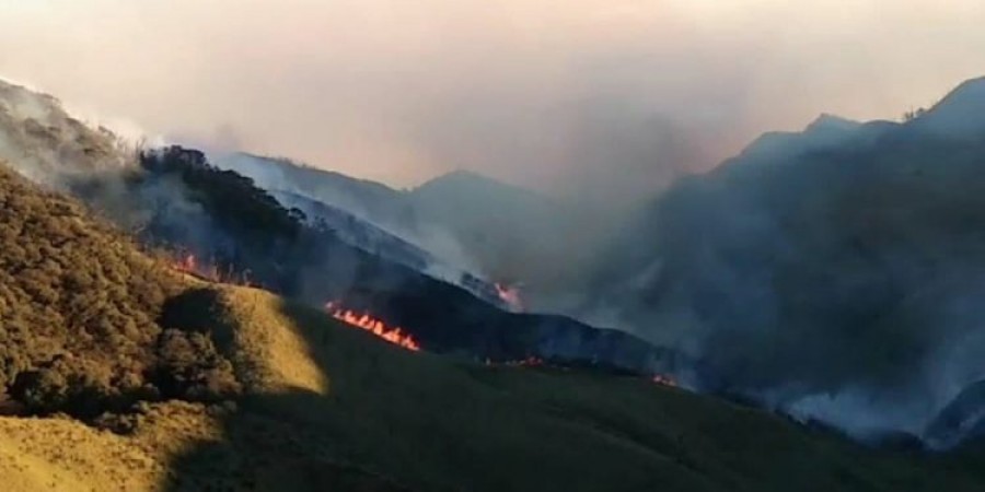Centre assures help to contain Dzukou Valley wildfire: Manipur CM