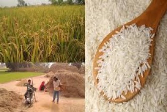 Diabetic rice from Telangana is cultivated in 25 lakh acres in the state.