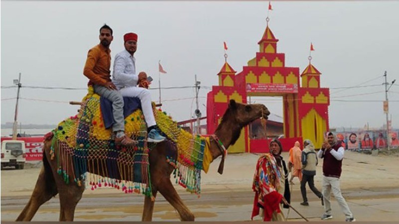 Camel Rides from Rajasthan Become a Major Attraction at Prayagraj's Maha Kumbh 2025