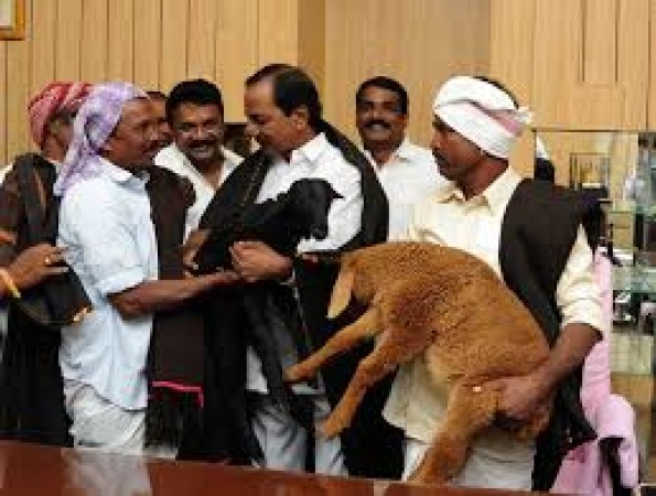Chief Minister K. sheep to resume the distribution program. Chandrasekhar Rao has directed officials