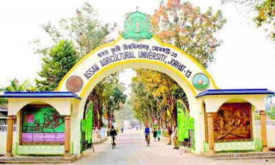 असम कृषि विश्वविद्यालय के 44 छात्र हुए कोविड पॉजिटिव