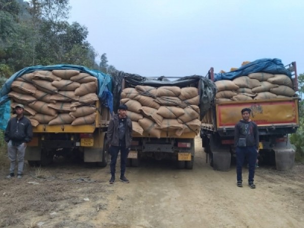 Drugs, Areca nuts worth Rs 6.35 cr seized in Mizoram
