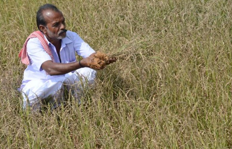 Farmers interest on short term crop loan waives off by Cabinet