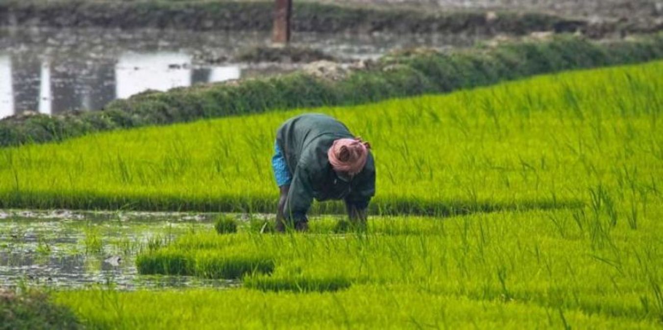 अरुणाचल प्रदेश: मंत्री तागे तकी का राज्य में वैज्ञानिक खेती करने का लक्ष्य