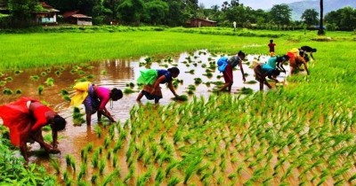 Agriculture ministry open to pro-farmer changes in PMFBY