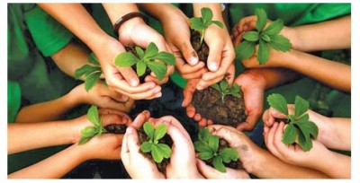 National Festival of Tree Planting: Van Mahotsav Nature's Lifelines