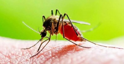 Centre Issues Advisory Amid Rising Zika Virus Cases