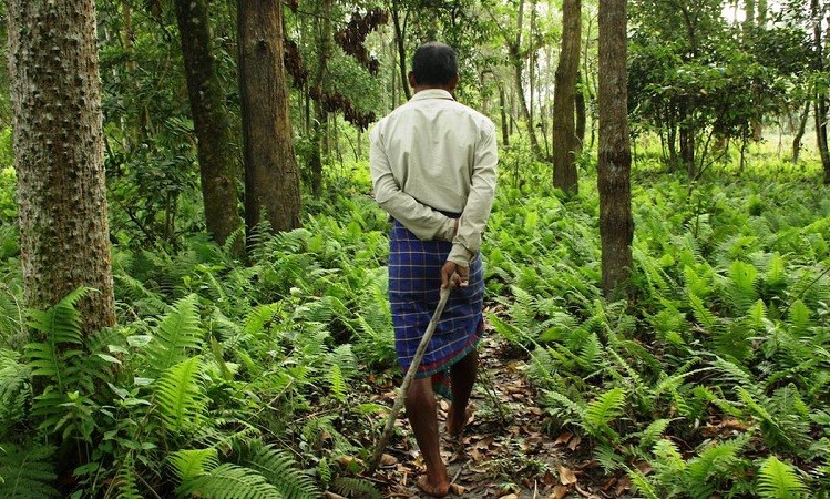 Odisha Targets Full Forest Rights Recognition in 2 Years